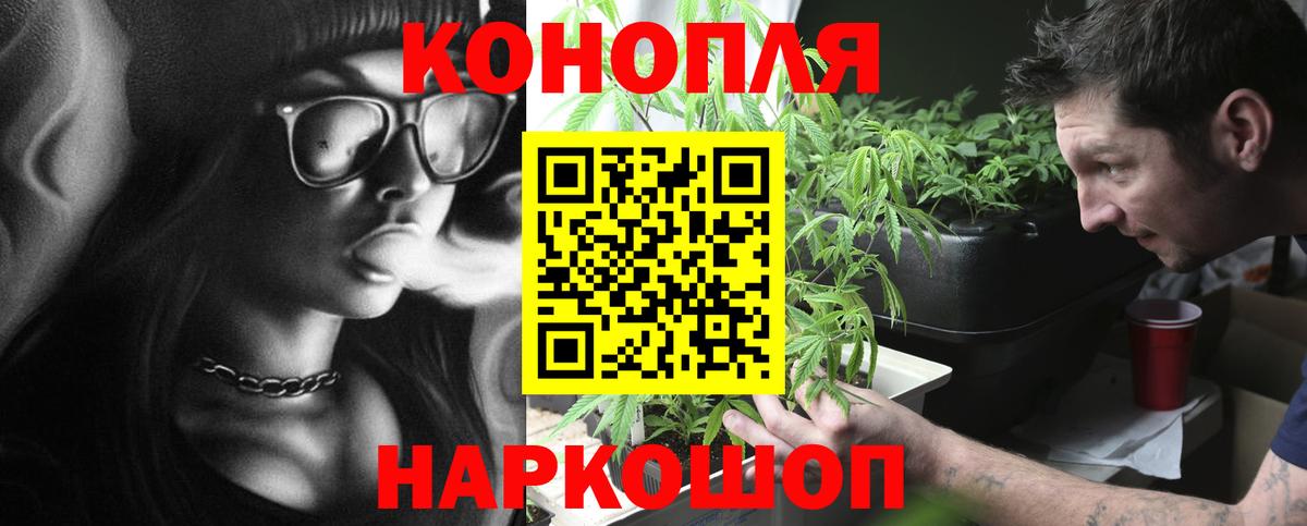 Бошки Шишки индика  Вход с VPN  Бошки марихуана LSD WEED  Тверь  Каннабис план 
